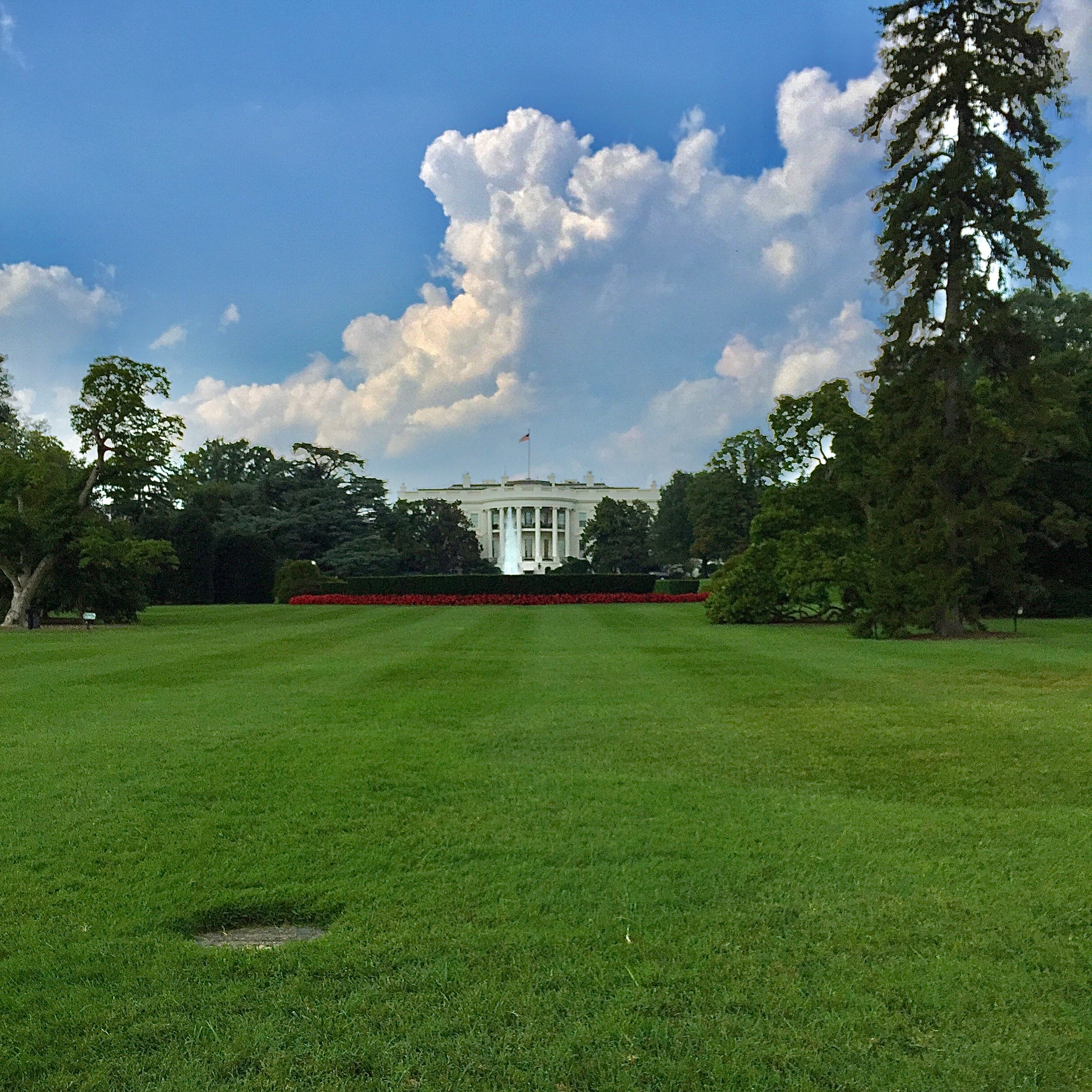 The White House, Washington DC