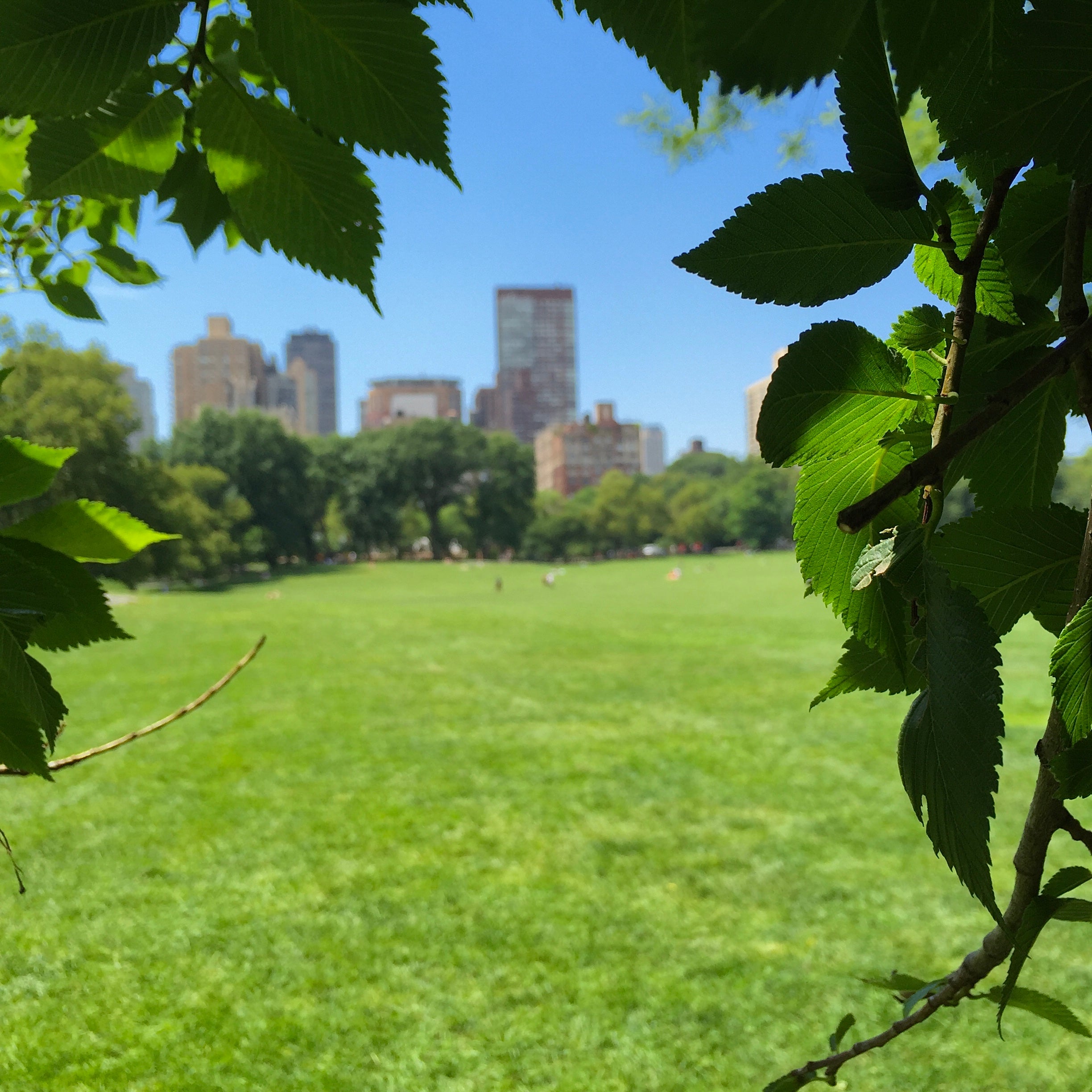 Central Park, New York